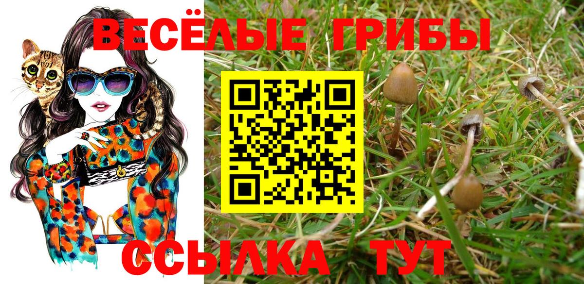 Каспийск  Псилоцибиновые грибы Cubensis  Вход с VPN  Псилоцибиновые грибы ЛСД 